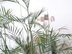 -隹木咖啡馆(宝龙广场店)
