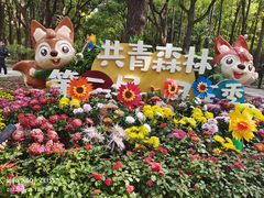-上海共青森林公园
