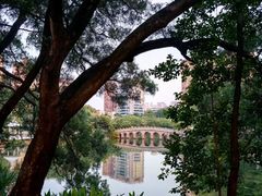 -四海公园(南山区)