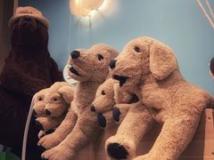 -宜家家居(哈尔滨商场店)