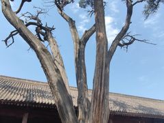 -韩城古城