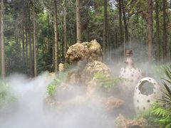 -东平国家森林公园