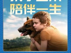 -深影国际影城(学院南路店CGS中国巨幕店)