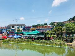 -晓琦农家菜馆·地道农家菜