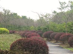 -广东花都香草世界旅游度假区