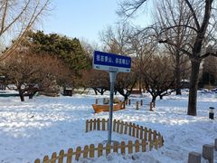 -香山公园