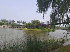 -上海鲜花港