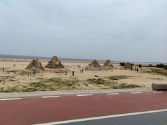 -日照海滨国家森林公园