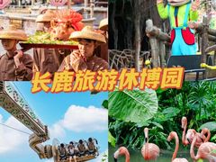 -长鹿旅游休博园