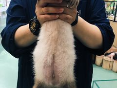 -藦茜花园宠物主题亲子互动体验馆(国顺东路店)