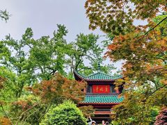 -岳麓山风景名胜区