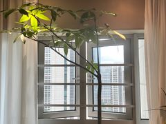 -象泰SPA·泰式按摩·足疗(卓悦中心店)