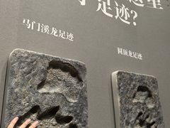 -遇见博物馆(遇见海洋沉浸式奇幻光影展)