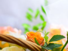 -爱尚花坊(大林路店)