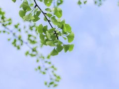 -廖老妈蹄花店(人民公园陕西街259号店)