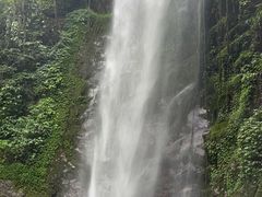 -莫里热带雨林景区