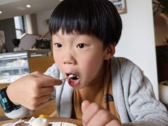 -猫里有甜