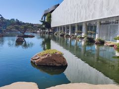 -罗红摄影艺术馆