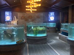 水产区-观澜湖酒店·邀月庭中餐厅