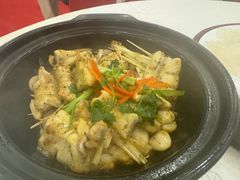 -寻味顺德·南记酒家·传统顺德菜·鱼生(广源路店)