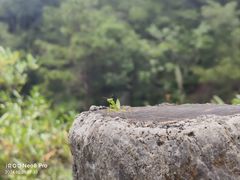 -北辰山景区