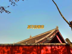 -成都动物园