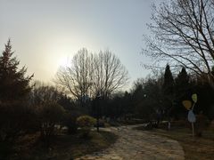 -前关湿地公园