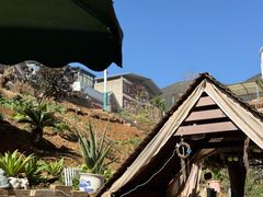 -鱼乐岛餐厅·户外花园主题餐厅