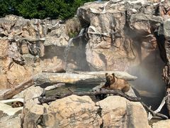-珠海长隆海洋王国