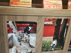 -扶光书店(中环店)