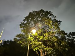 -深圳湾公园(南山区)