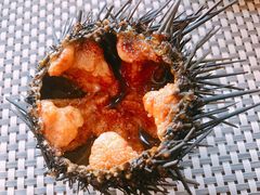 -红叶日料·放题·海胆·定食(星海店)