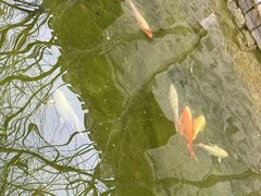 -三里河公园