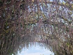 -同里国家湿地公园