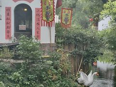 -西溪国家湿地公园