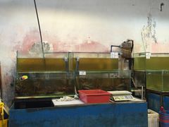 -ZF Seafood Restaurant 卓峰海鲜餐