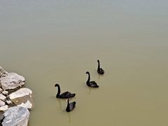 -天津东丽湖风景区