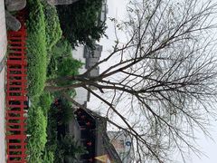 -泸州老窖景区