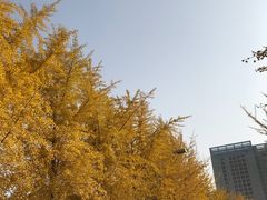 -辽宁大学(崇山校区)