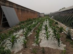 -万源龙顺度假庄园生态观光园