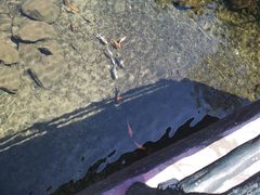 -宁波五龙潭景区