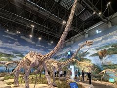 -自贡恐龙博物馆