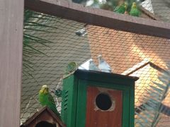 -南宫五洲植物乐园