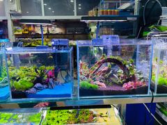 -三旗百汇商品城