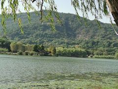 -长广溪湿地公园