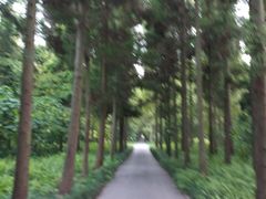 -上海怡沁园度假酒店