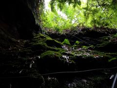 -沐川竹海旅游景区