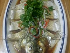 清蒸野生白鱼-巢湖名吃·徽府农家菜(半汤店)