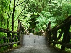 -汤旺河林海奇石景区