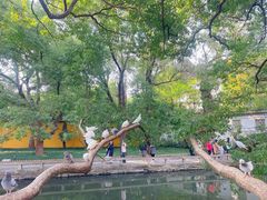 -西园戒幢律寺